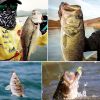 280Pcs/354Pcs Fishing bait set, water hook set for bass trout salmon, including minnow popper spoon bait, soft plastic worm bait, jig head hook